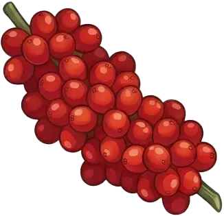 Nguyên liệu Robusta Honey